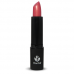 LABIAL 43